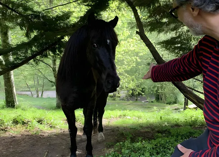 Les Trois Maisons - Tatil Evi