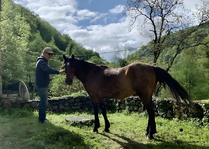 Les Trois Maisons - Tatil Evi Osse-en-Aspe