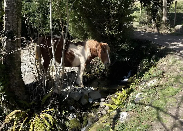 Les Trois Maisons - *